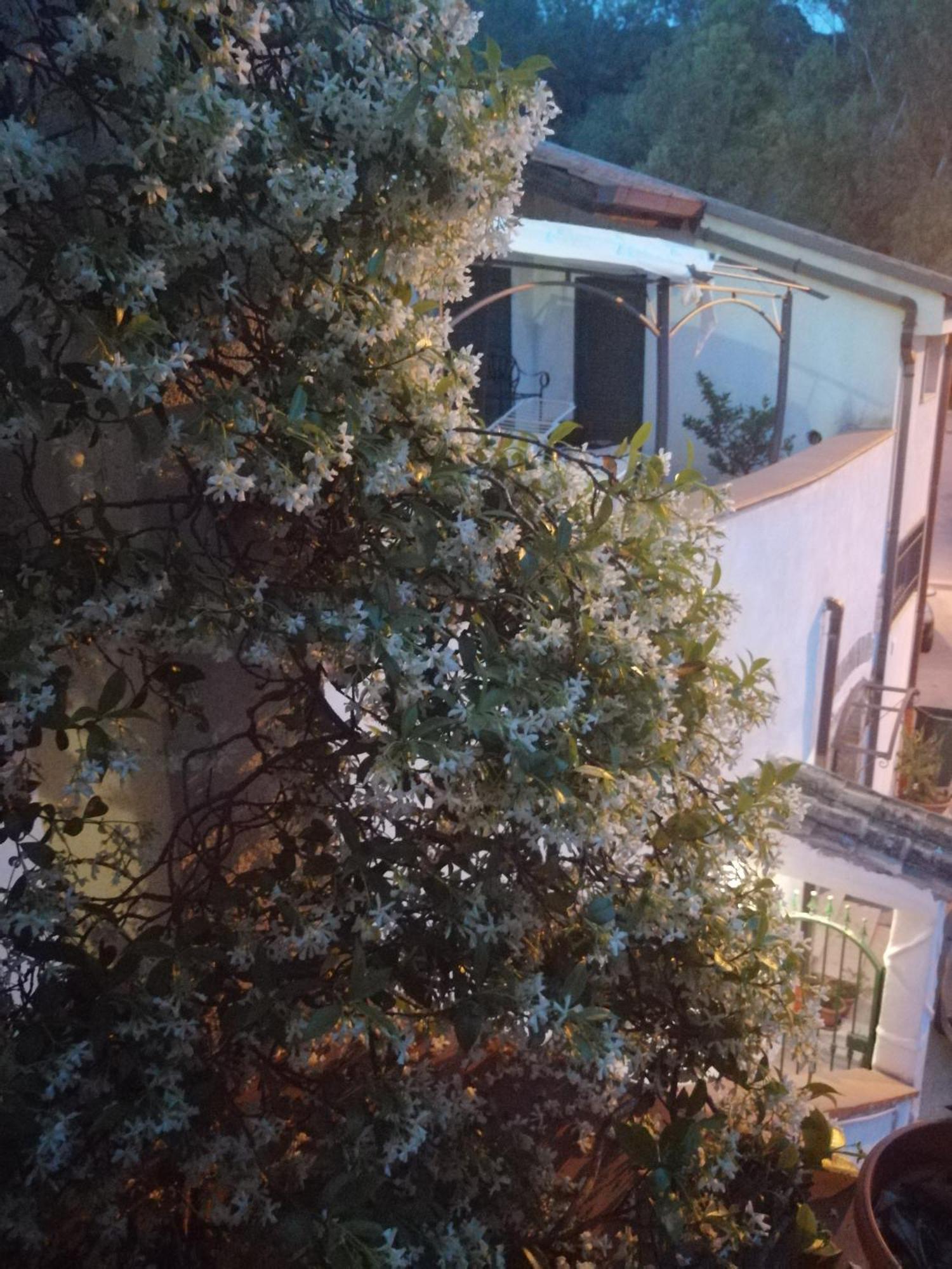 B&B Moscani Salerno Exterior photo